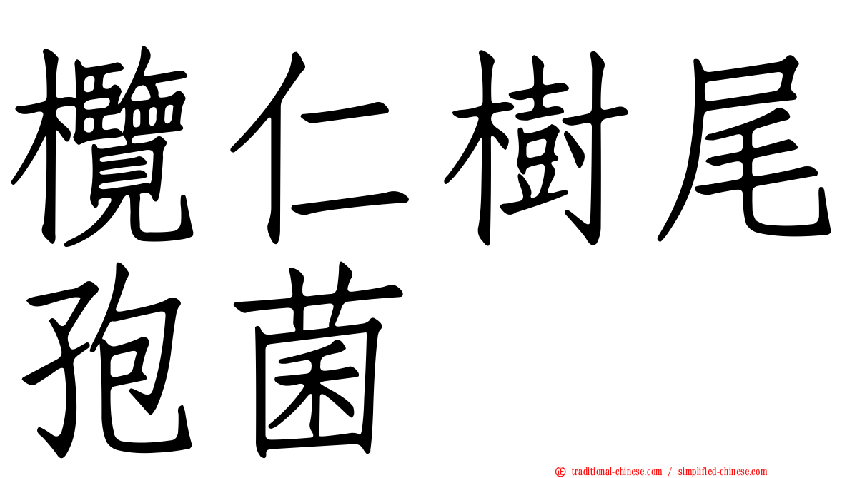 欖仁樹尾孢菌