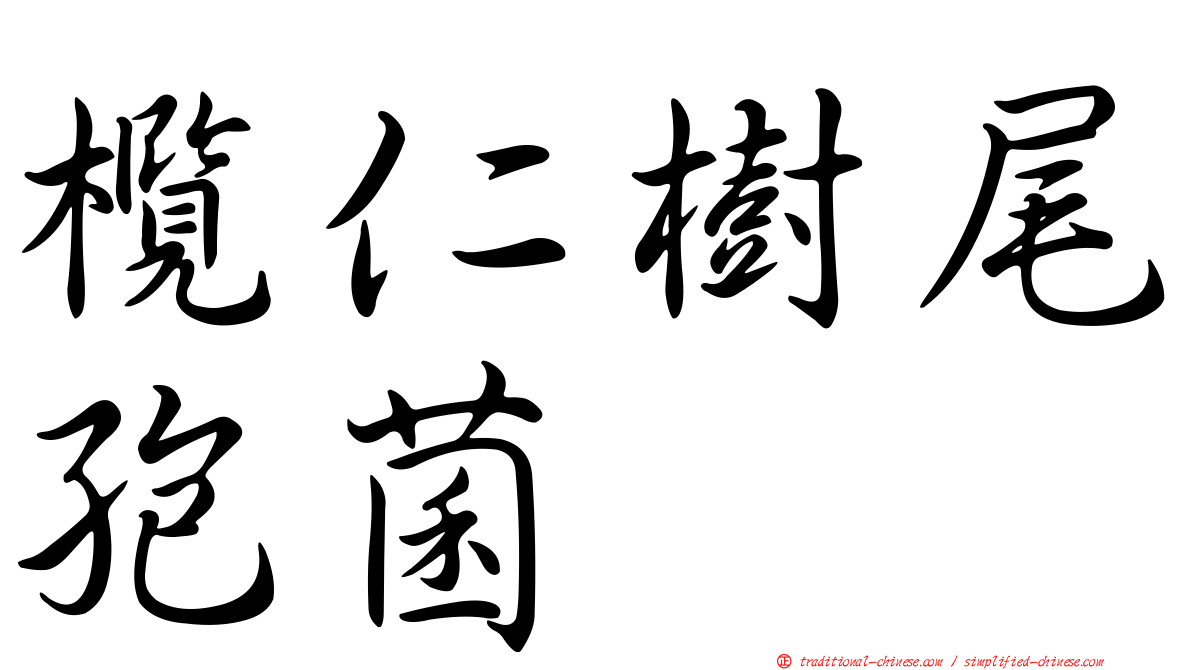 欖仁樹尾孢菌