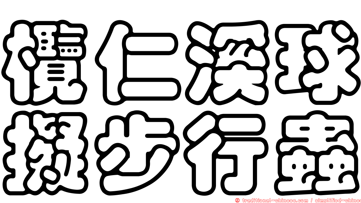 欖仁溪球擬步行蟲