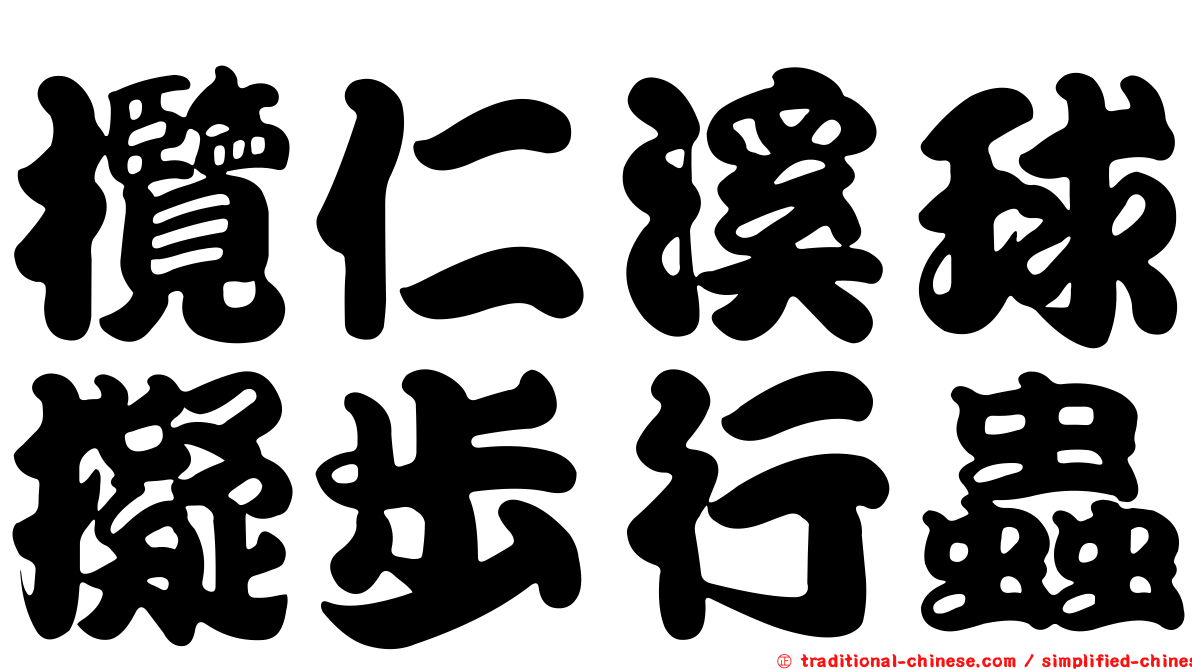 欖仁溪球擬步行蟲