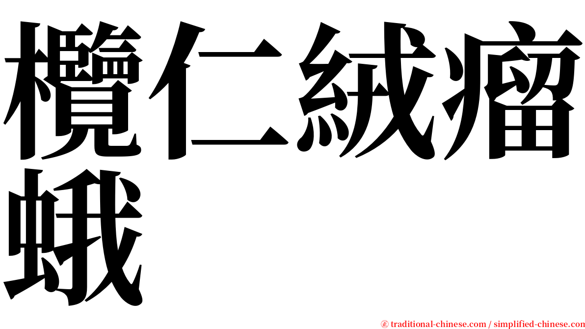 欖仁絨瘤蛾 serif font