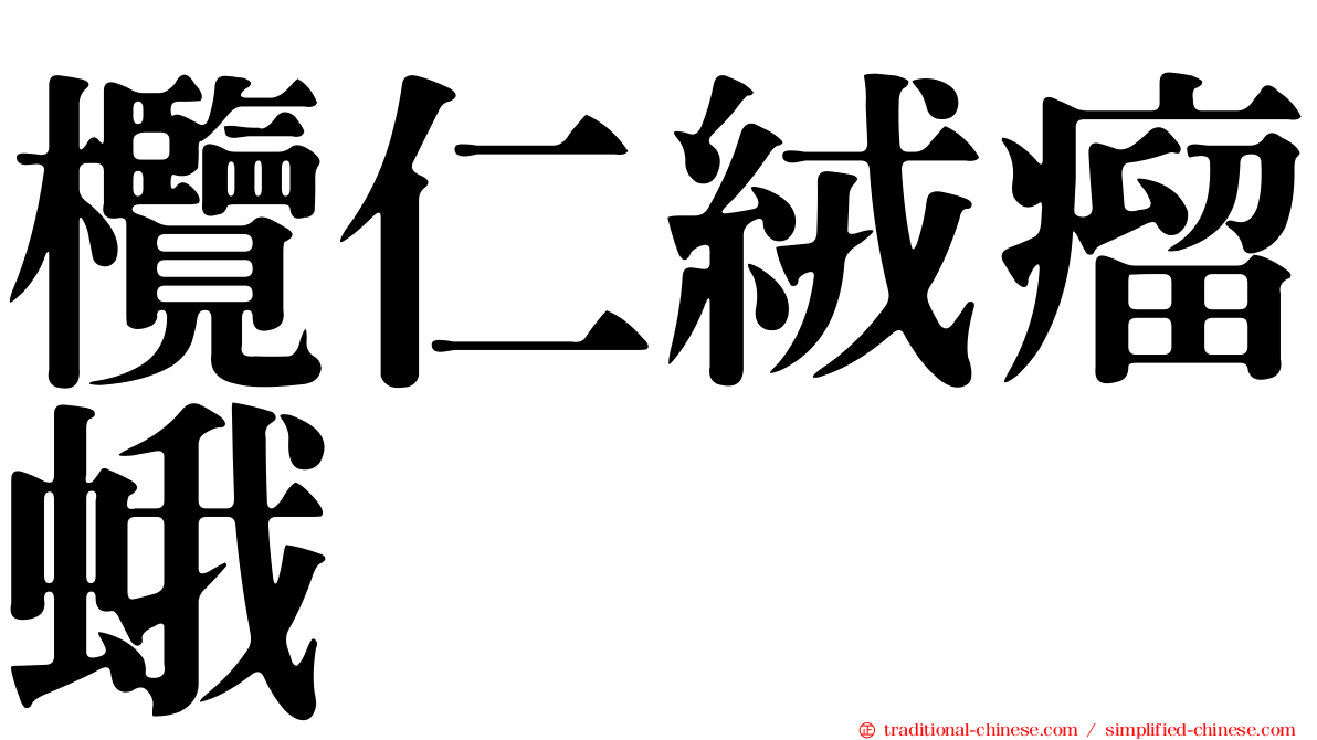 欖仁絨瘤蛾