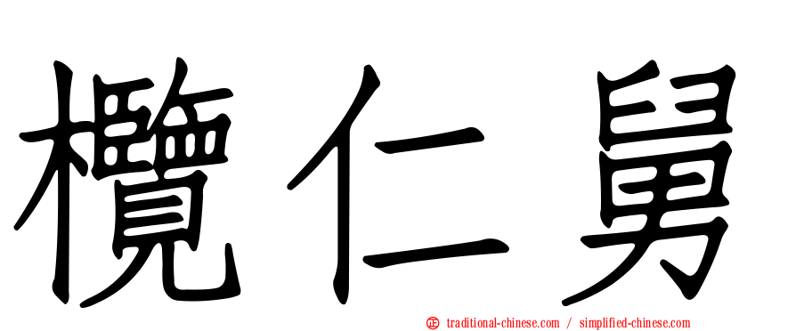 欖仁舅