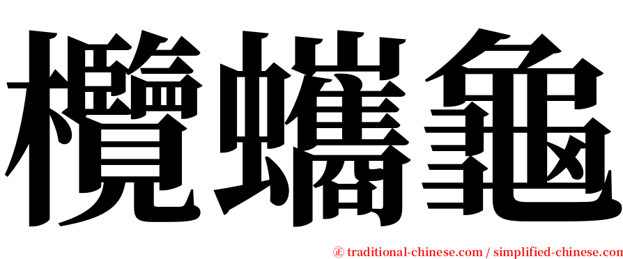 欖蠵龜 serif font