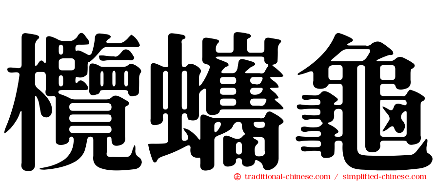 欖蠵龜