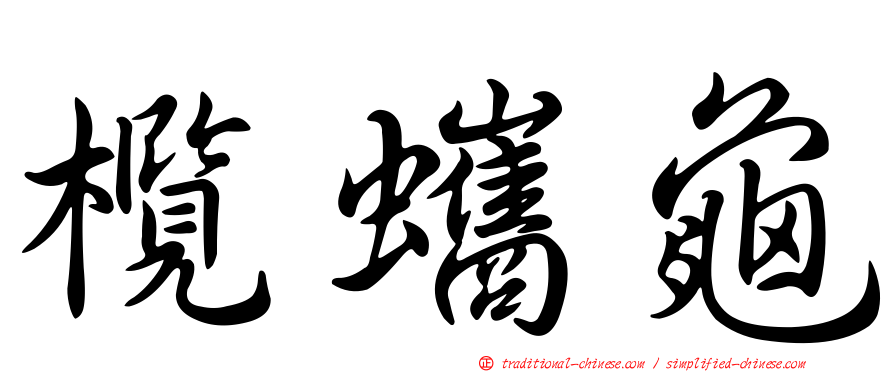 欖蠵龜