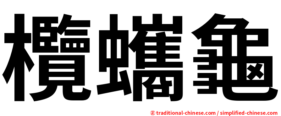 欖蠵龜