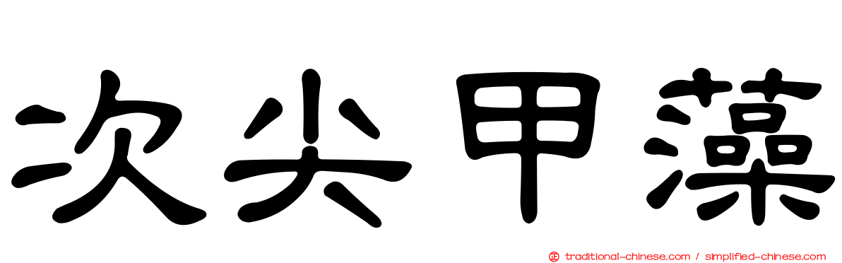 次尖甲藻