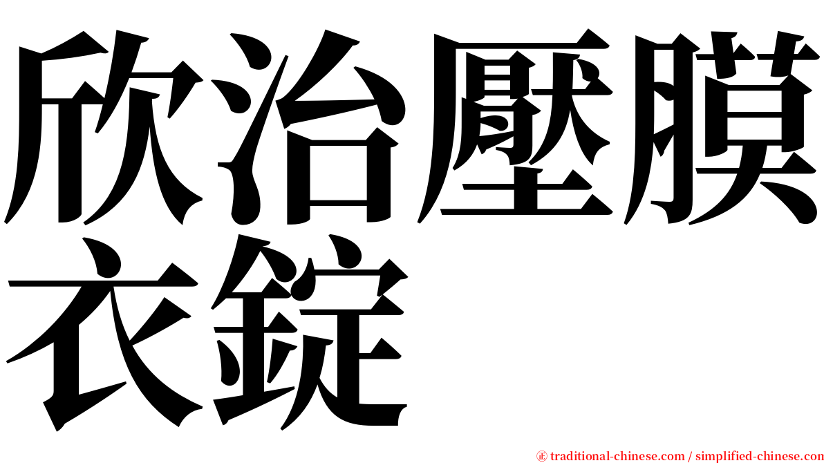 欣治壓膜衣錠 serif font
