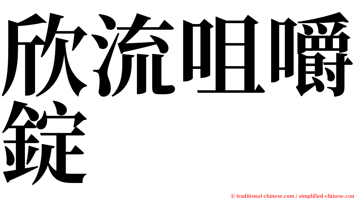 欣流咀嚼錠 serif font
