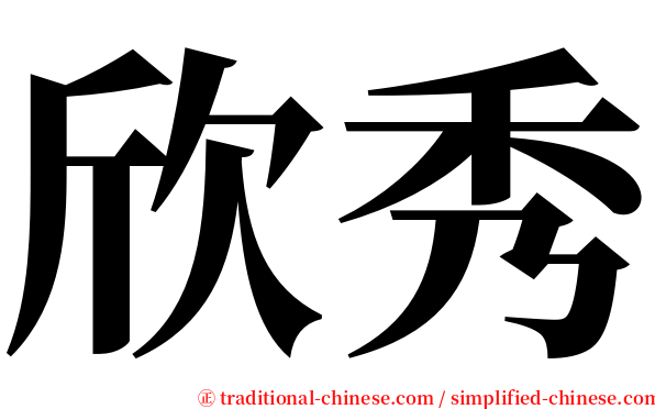 欣秀 serif font