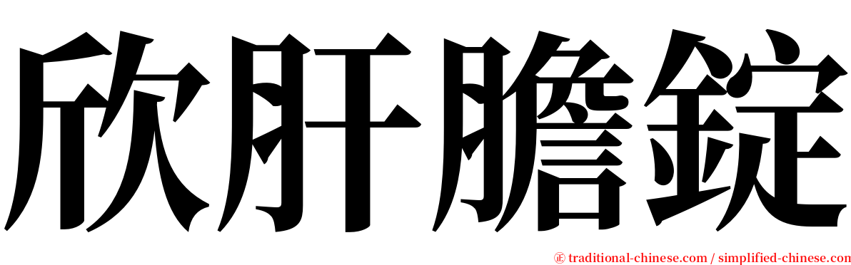欣肝膽錠 serif font