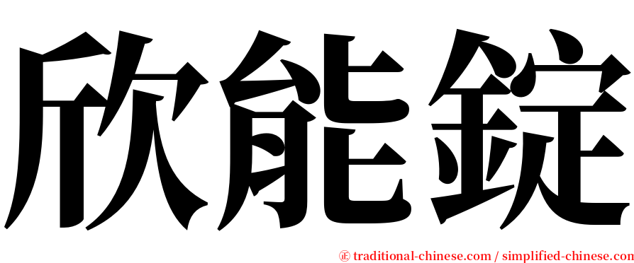 欣能錠 serif font