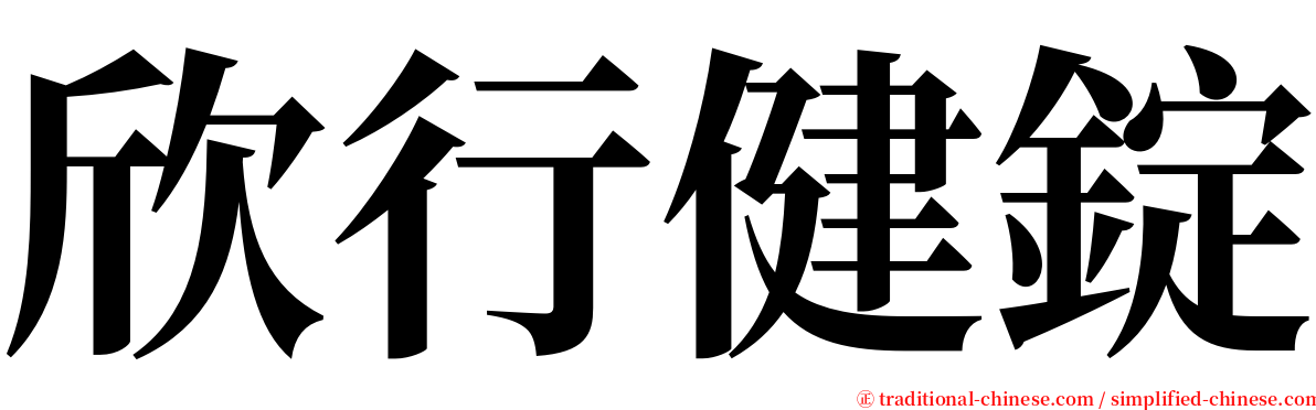 欣行健錠 serif font