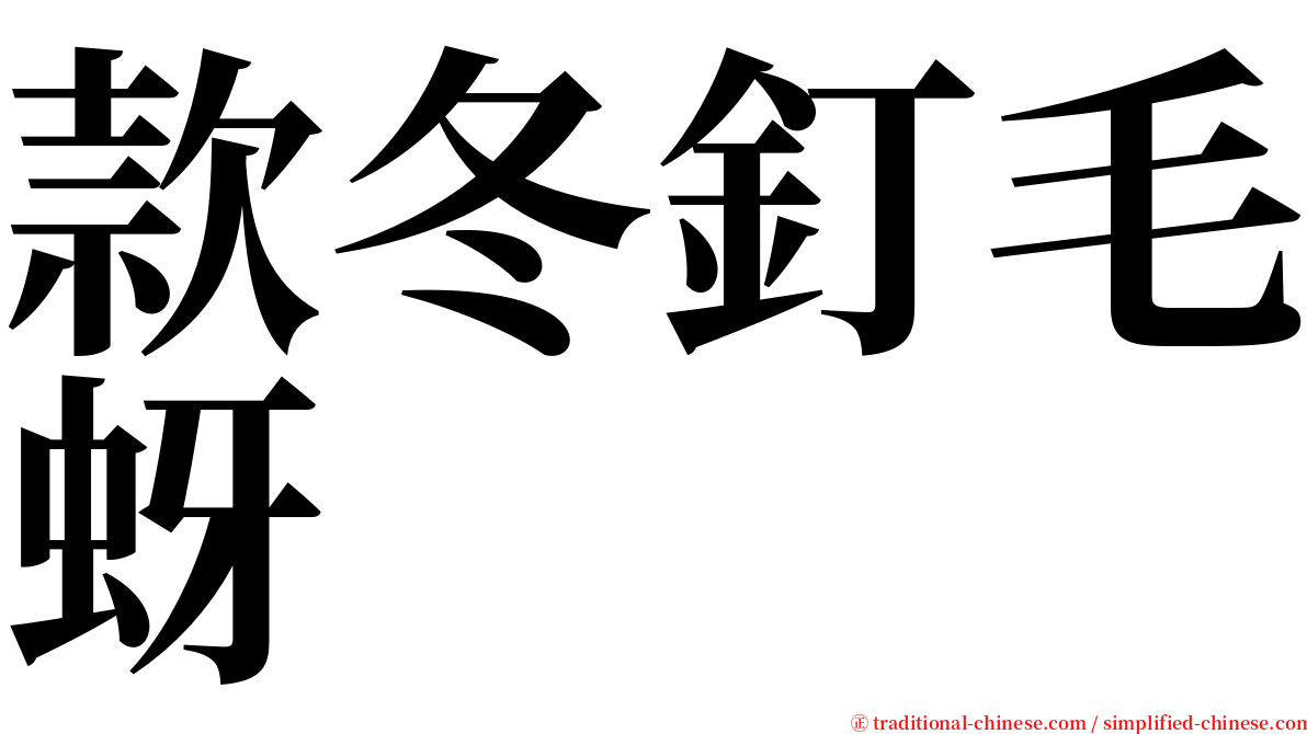 款冬釘毛蚜 serif font