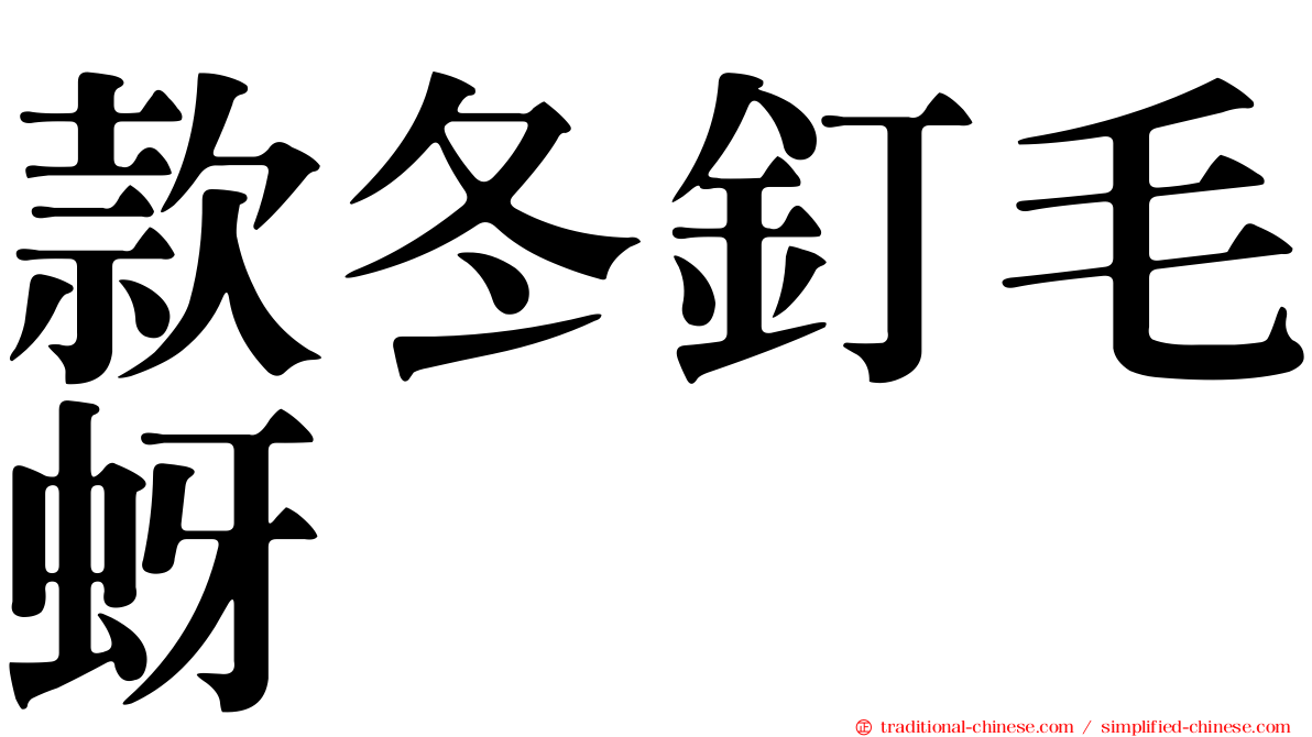 款冬釘毛蚜