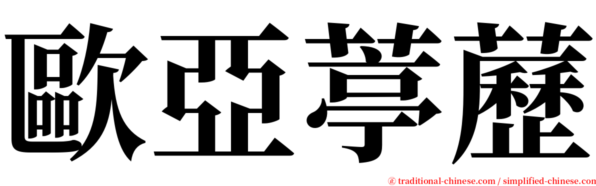 歐亞葶藶 serif font