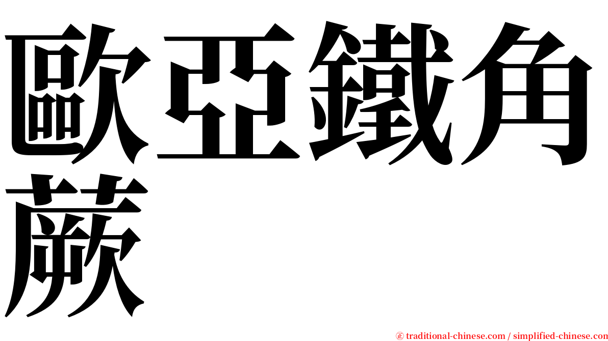 歐亞鐵角蕨 serif font