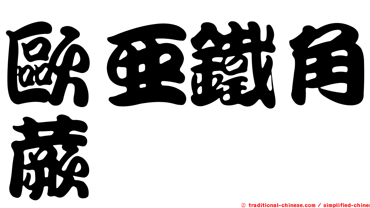 歐亞鐵角蕨