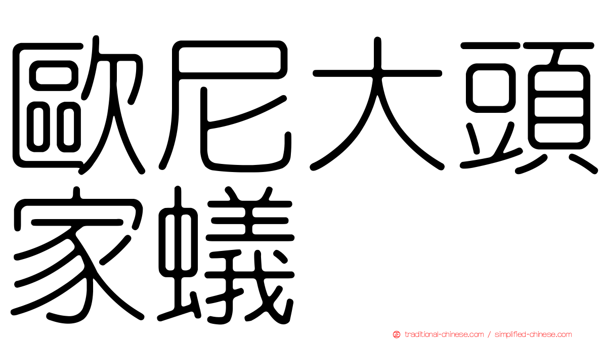 歐尼大頭家蟻