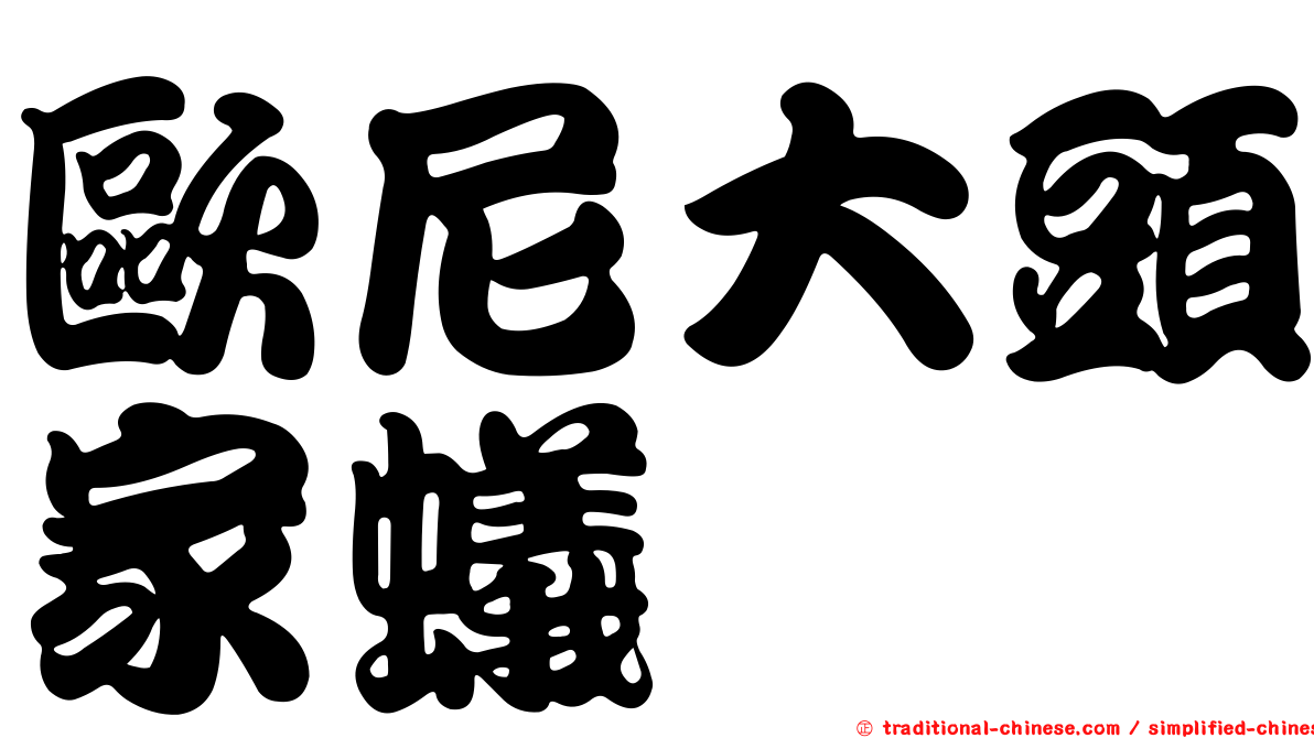 歐尼大頭家蟻