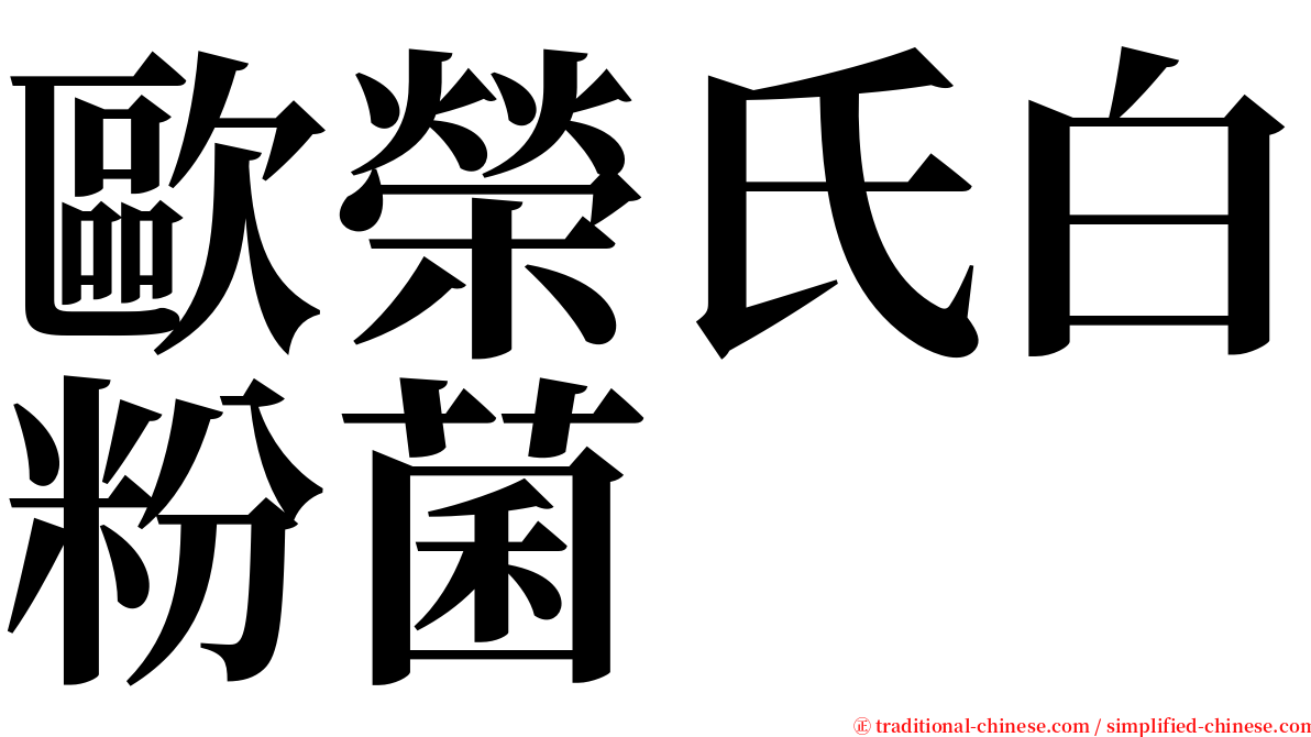 歐榮氏白粉菌 serif font