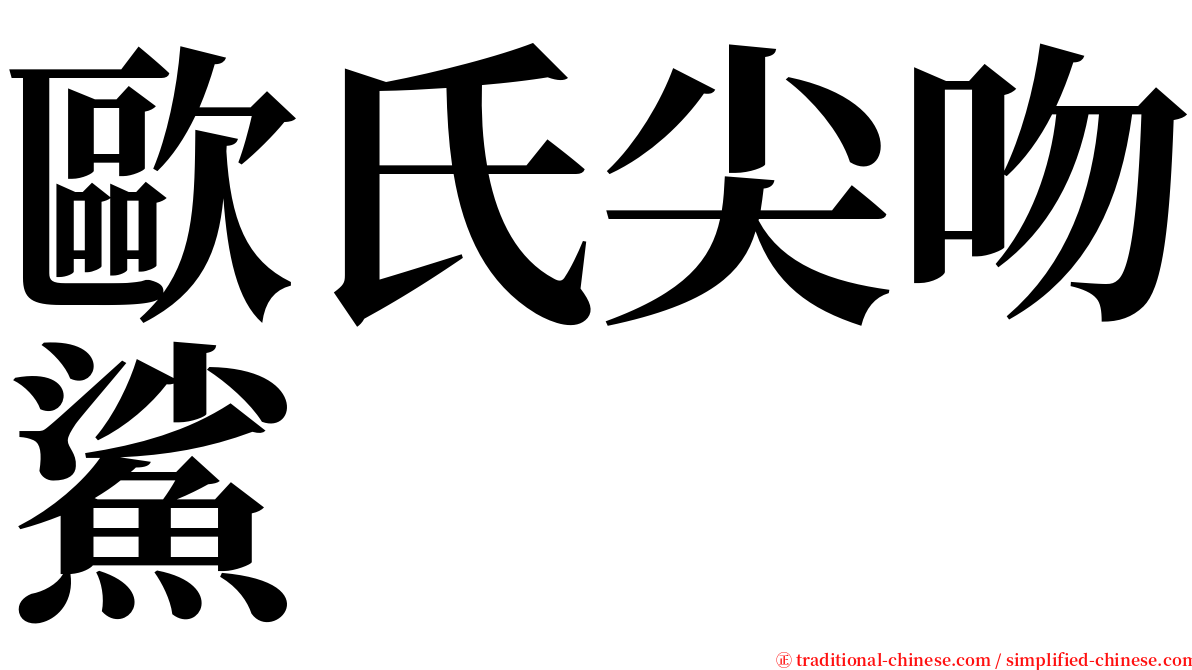 歐氏尖吻鯊 serif font
