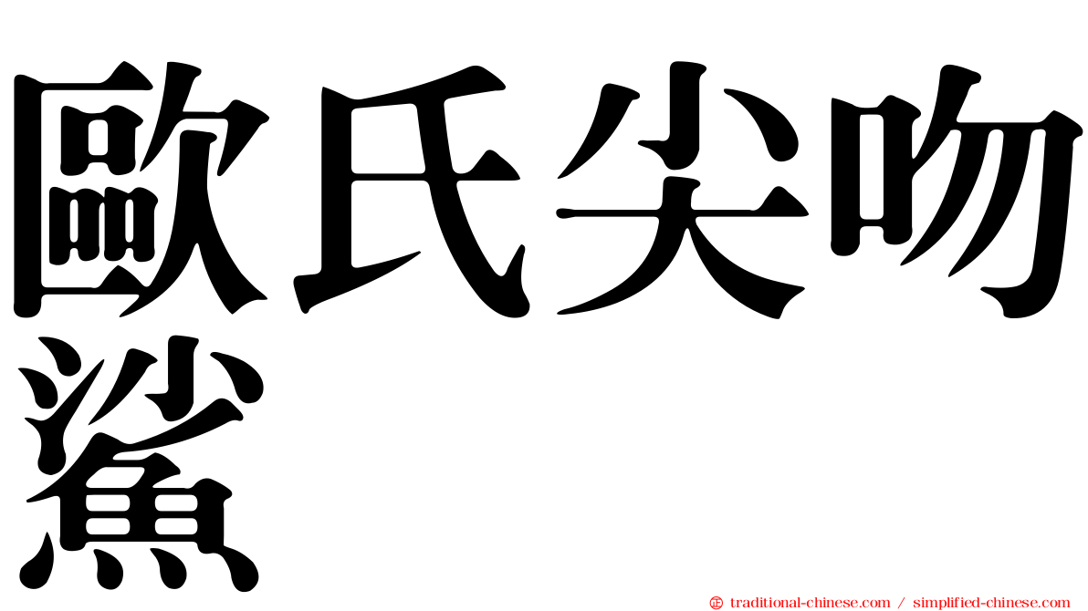 歐氏尖吻鯊