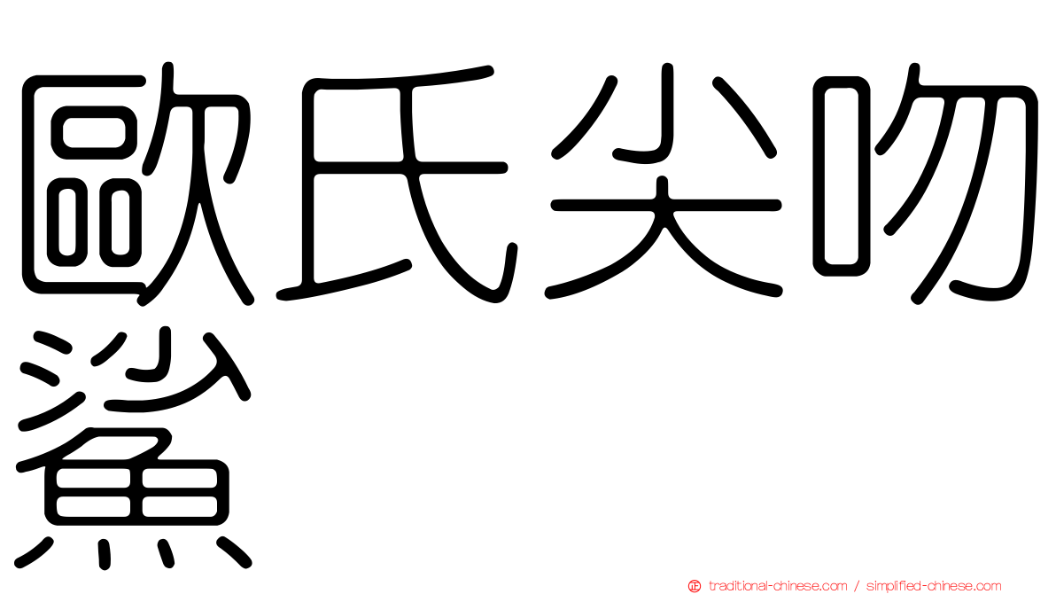 歐氏尖吻鯊