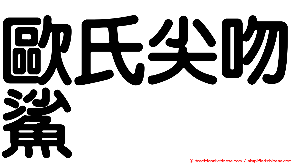 歐氏尖吻鯊