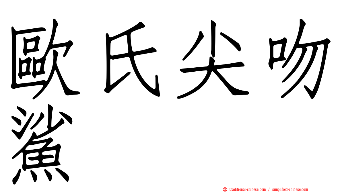 歐氏尖吻鯊