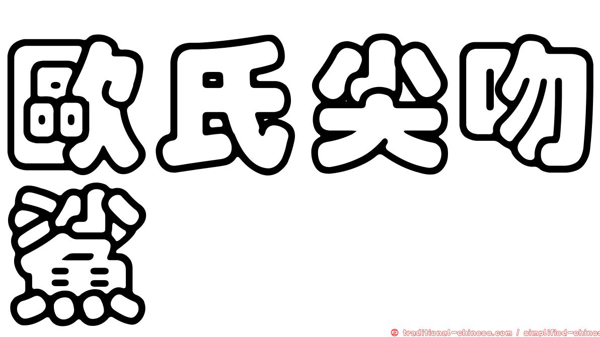 歐氏尖吻鯊