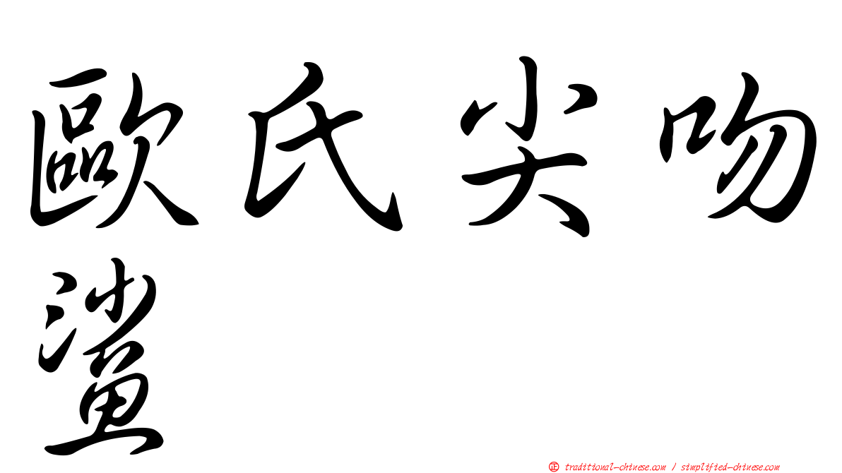 歐氏尖吻鯊
