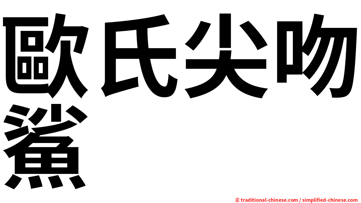 歐氏尖吻鯊