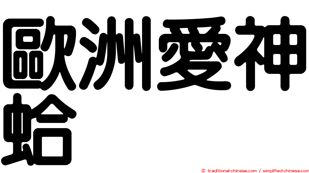 歐洲愛神蛤