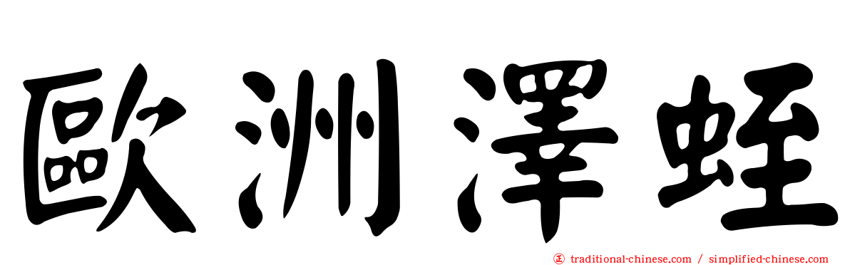 歐洲澤蛭
