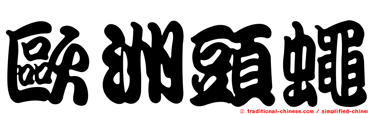 歐洲頭蠅