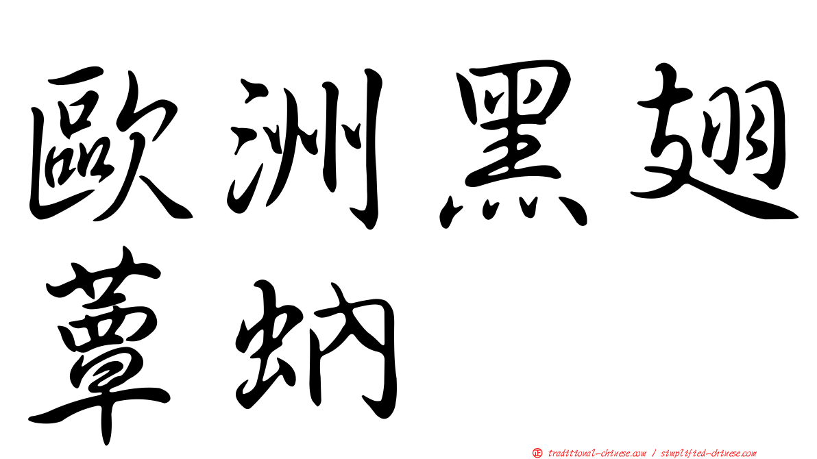 歐洲黑翅蕈蚋