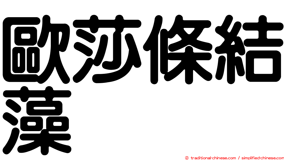 歐莎條結藻
