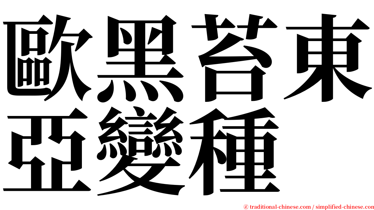 歐黑苔東亞變種 serif font
