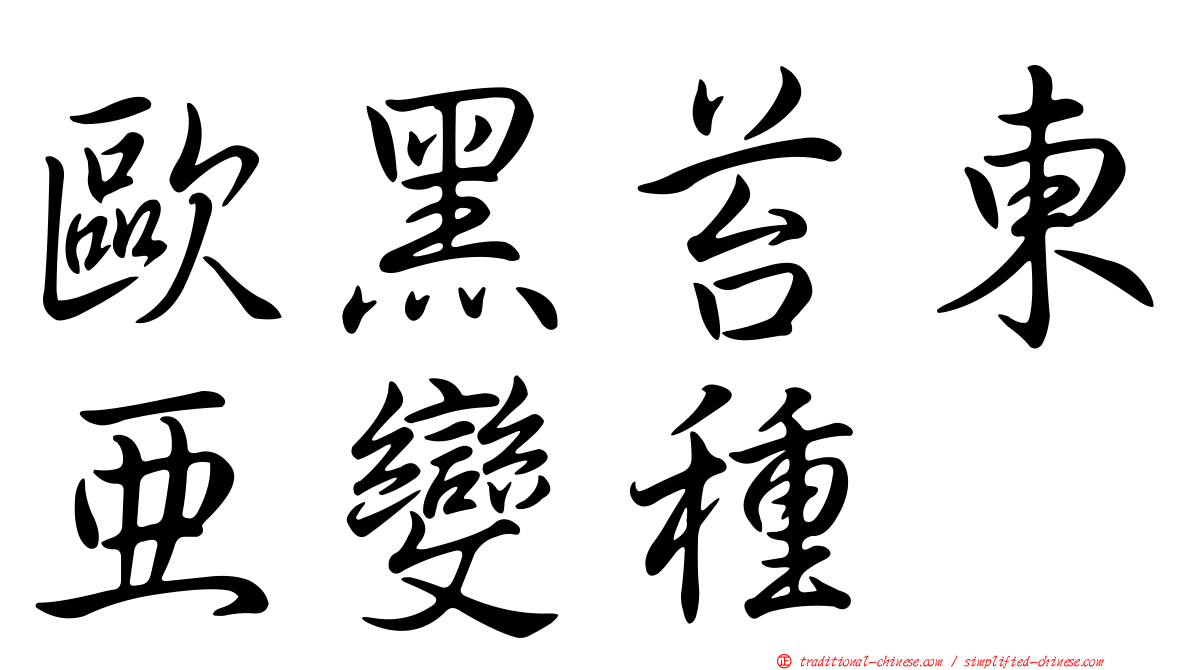 歐黑苔東亞變種