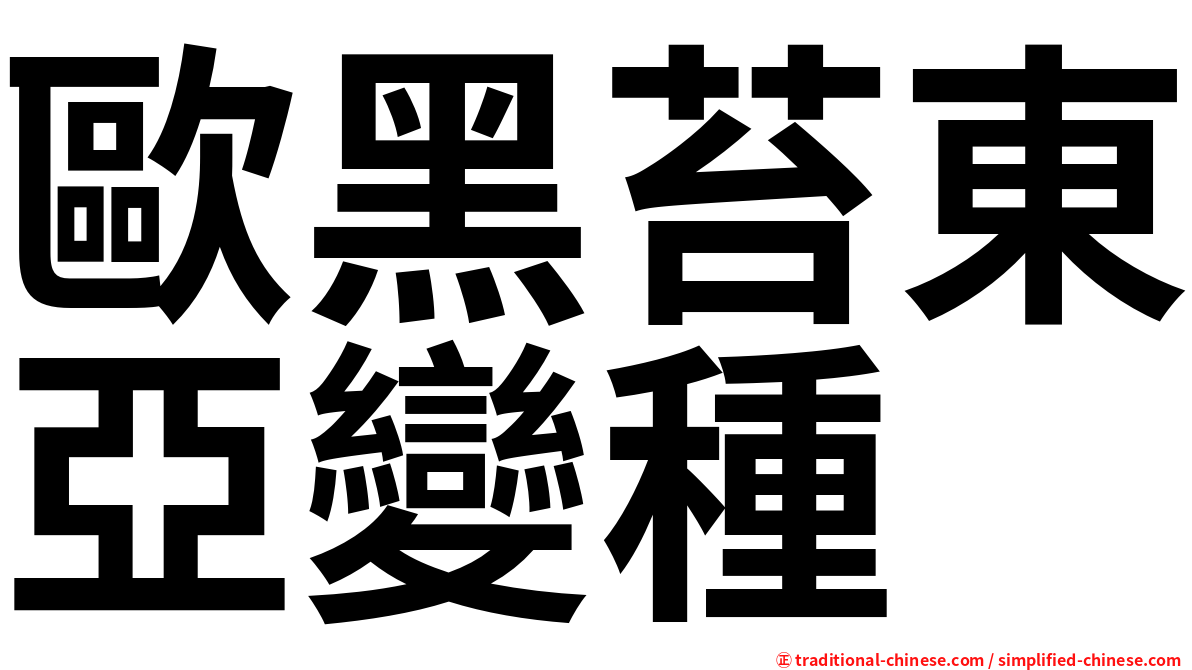 歐黑苔東亞變種
