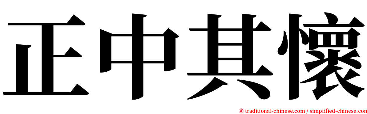 正中其懷 serif font