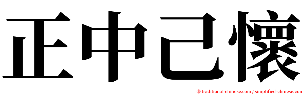 正中己懷 serif font