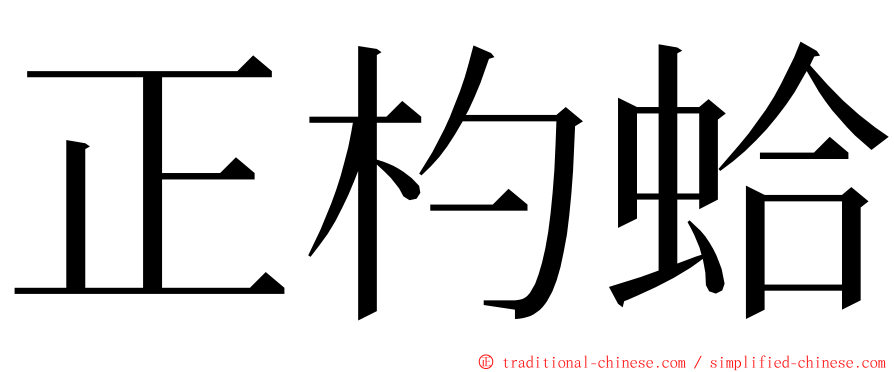 正杓蛤 ming font