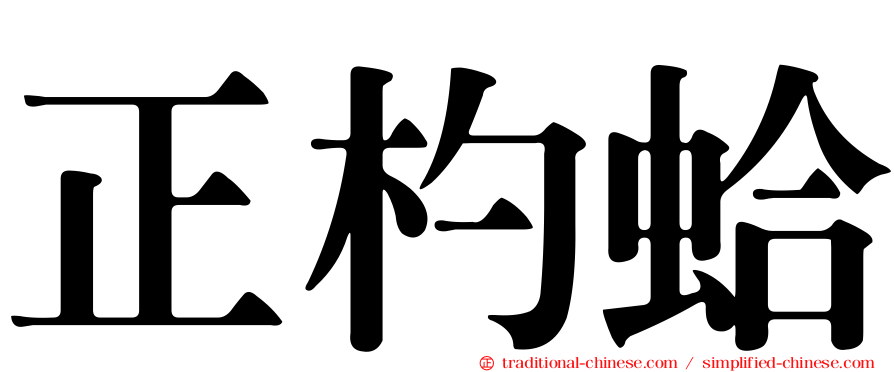 正杓蛤
