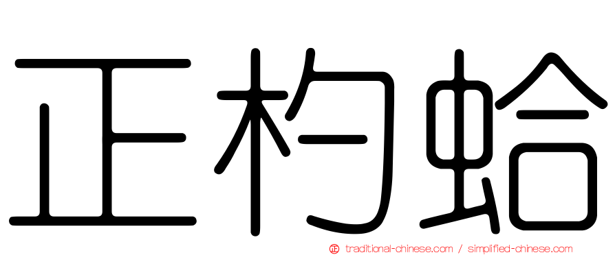 正杓蛤