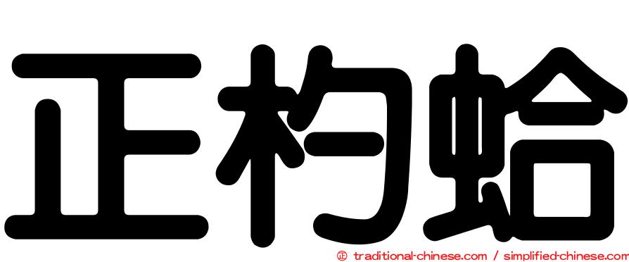 正杓蛤