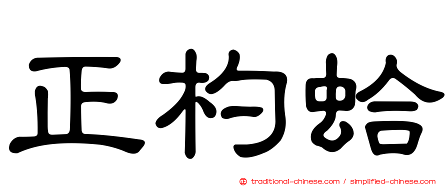 正杓蛤