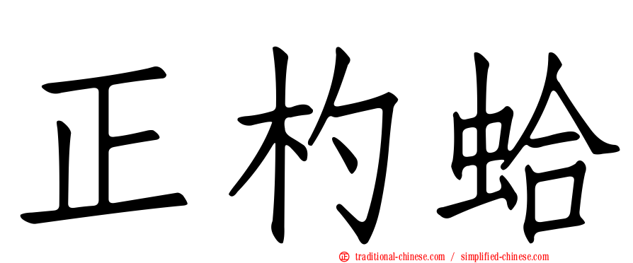 正杓蛤